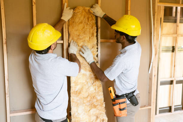 Best Basement Insulation  in Byrnes Mill, MO